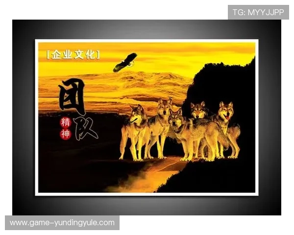 云顶新耀官网：探索企业文化和团队建设的精彩内容介绍